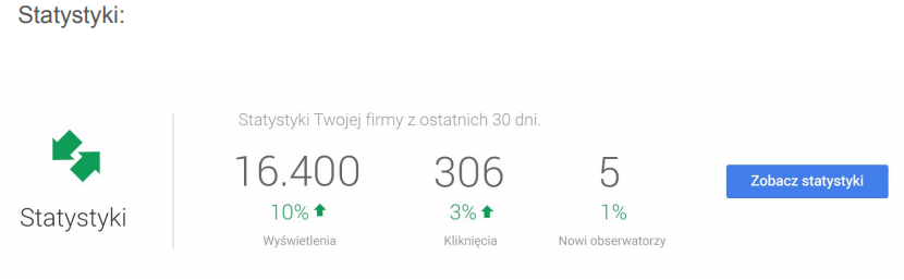 statystyki wizytówka google