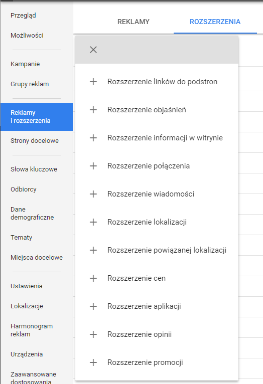 Ustawianie rozszerzeń AdWords