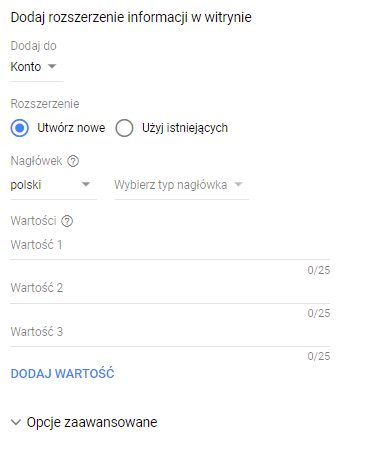Rozszerzenia informacji w witrynie AdWords