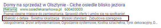 Rozszerzenie objaśnień AdWords