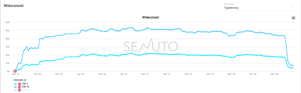 SEO w eCommerce - case study