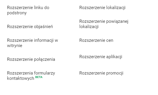 rozszerzenia reklam Google Ads