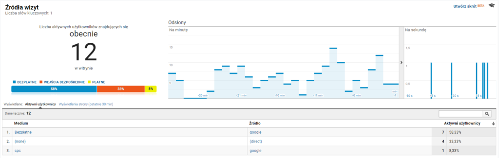 Raport Czas rzeczywisty (źródła wizyt) - Google Analytics