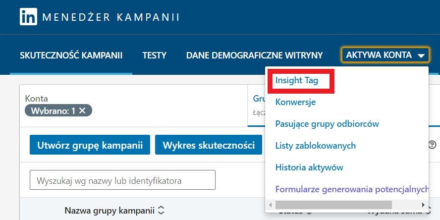 LinkedIn Insight Tag w aktywach konta na LinkedIn