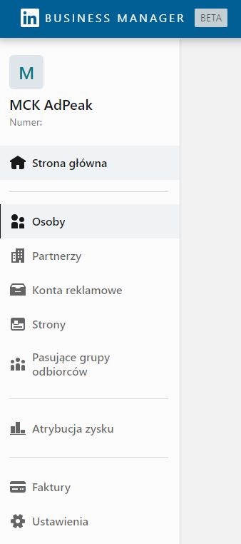 Panel w LinkedIn Business Managerze